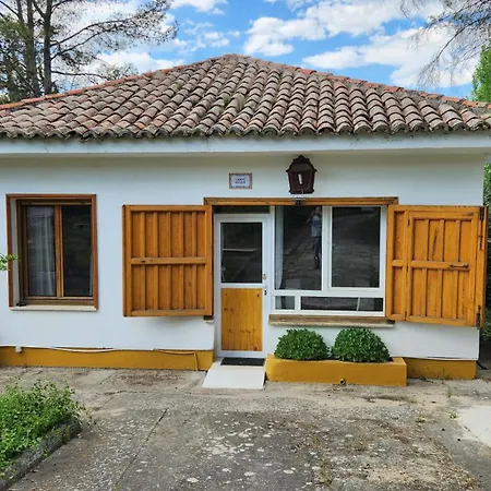 Apartment Campoarique *