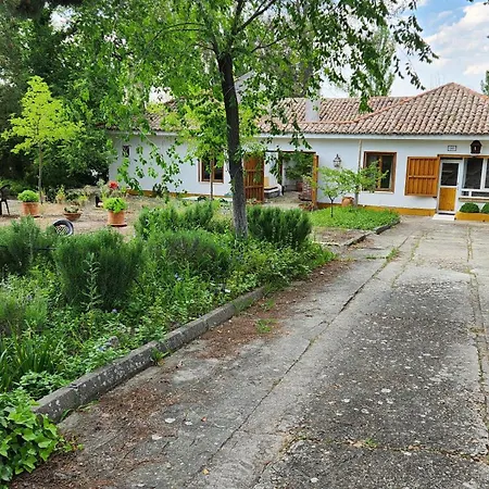 Campoarique Apartment